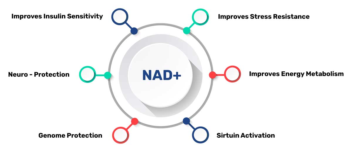 Nad+ IV Therapy Las Vegas - American Male Wellness Treatment