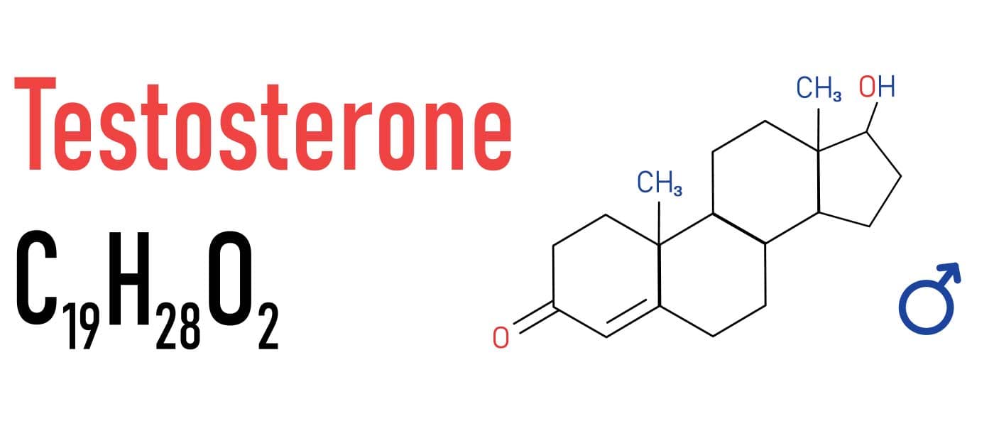 What Is Testosterone Replacement Therapy